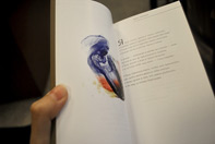 Раскрытая книга